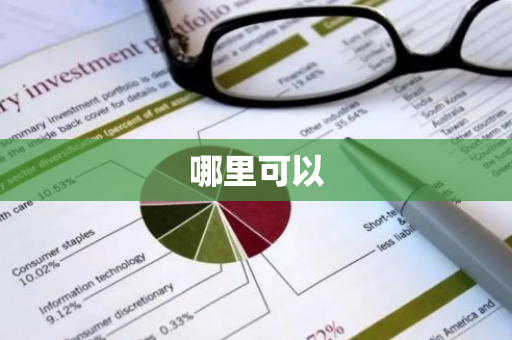 哪里可以