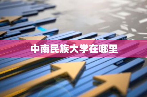 中南民族大学在哪里