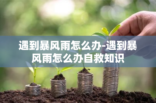 遇到暴风雨怎么办-遇到暴风雨怎么办自救知识