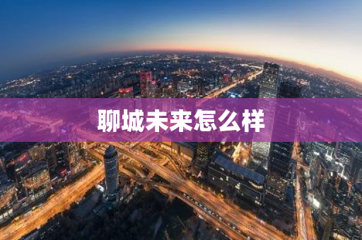 聊城未来怎么样