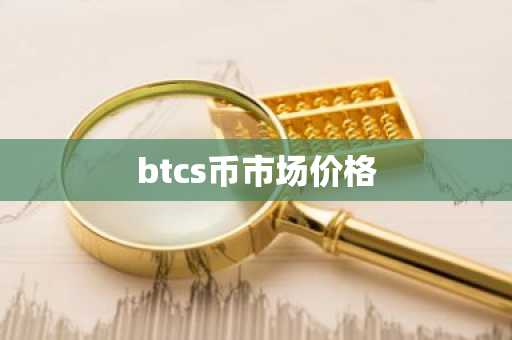 btcs币市场价格