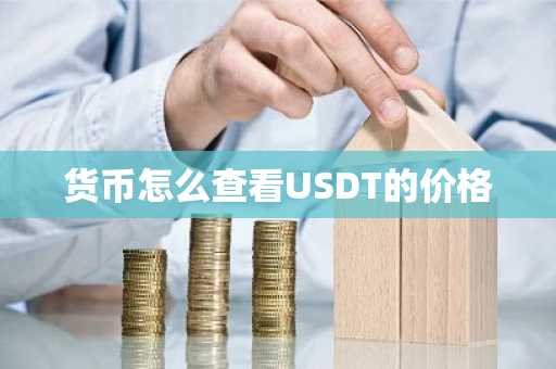 货币怎么查看USDT的价格