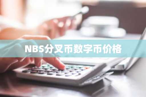 NBS分叉币数字币价格