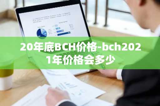 20年底BCH价格-bch2021年价格会多少