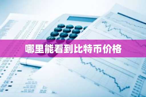 哪里能看到比特币价格