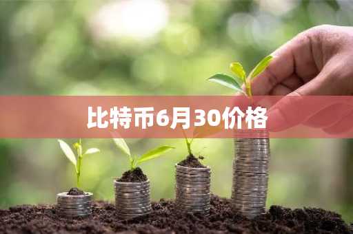 比特币6月30价格