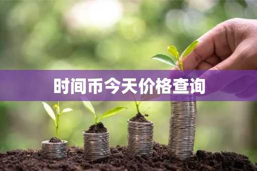 时间币今天价格查询