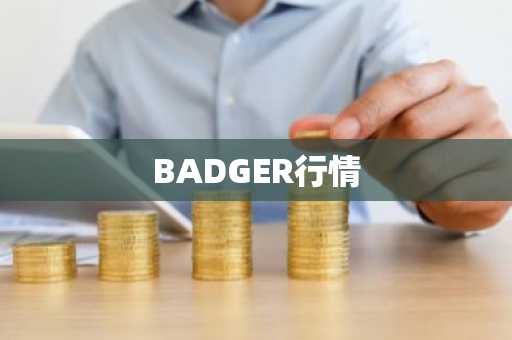 BADGER行情