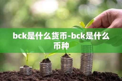 bck是什么货币-bck是什么币种
