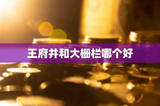王府井和大栅栏哪个好