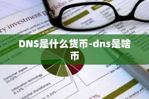 DNS是什么货币-dns是啥币