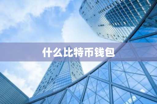 什么比特币钱包