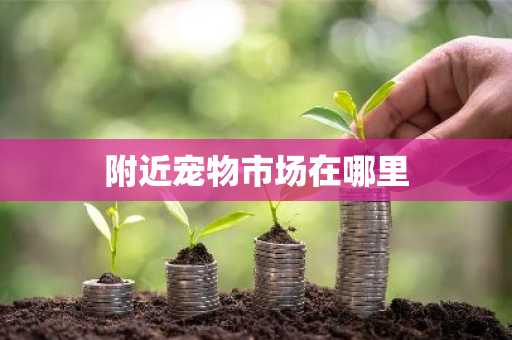附近宠物市场在哪里