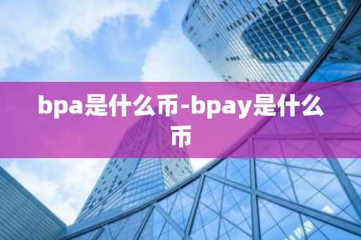 bpa是什么币-bpay是什么币