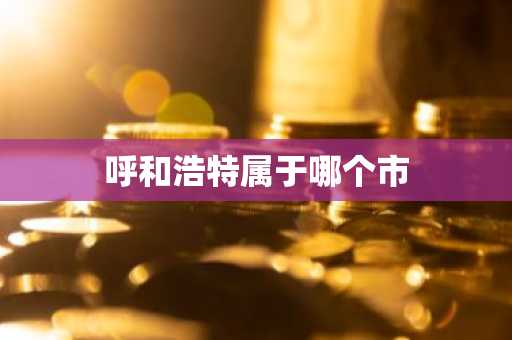 呼和浩特属于哪个市
