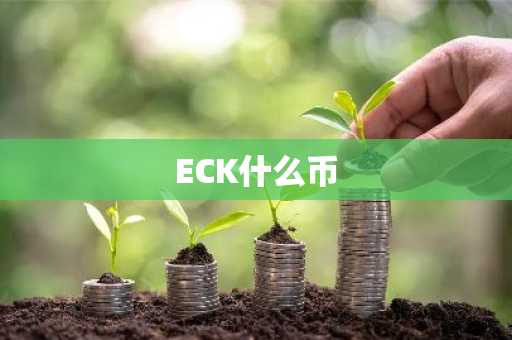 ECK什么币