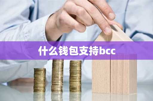什么钱包支持bcc