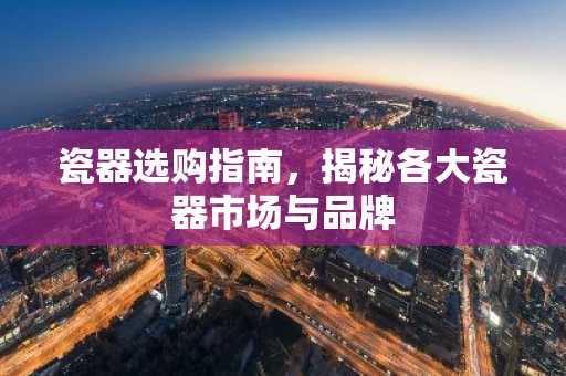 瓷器选购指南，揭秘各大瓷器市场与品牌