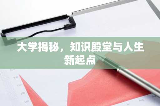 大学揭秘，知识殿堂与人生新起点
