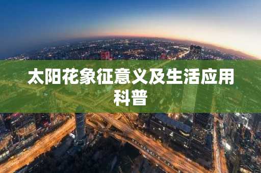 太阳花象征意义及生活应用科普