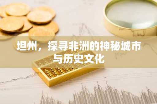 坦州，探寻非洲的神秘城市与历史文化