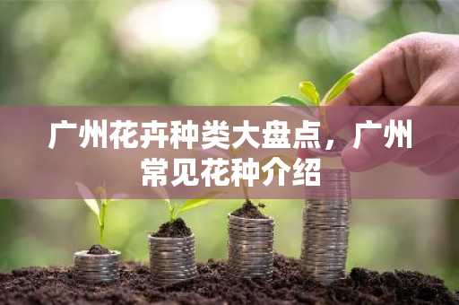广州花卉种类大盘点，广州常见花种介绍