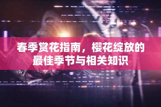 春季赏花指南，樱花绽放的最佳季节与相关知识