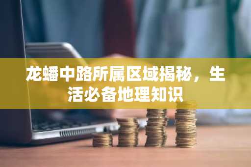 龙蟠中路所属区域揭秘，生活必备地理知识
