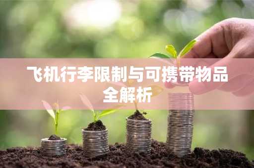 飞机行李限制与可携带物品全解析