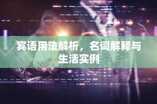 宾语用法解析，名词解释与生活实例