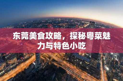 东莞美食攻略，探秘粤菜魅力与特色小吃