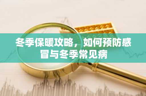 冬季保暖攻略，如何预防感冒与冬季常见病