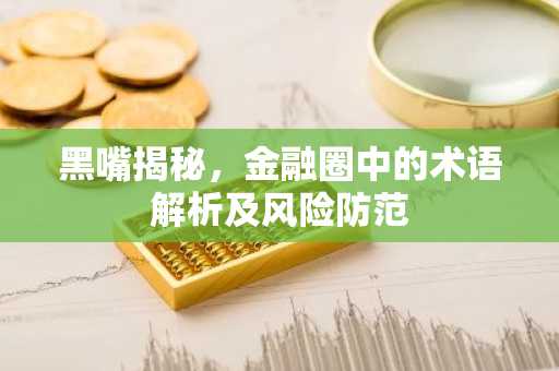 黑嘴揭秘，金融圈中的术语解析及风险防范
