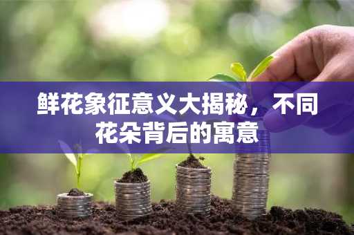 鲜花象征意义大揭秘，不同花朵背后的寓意