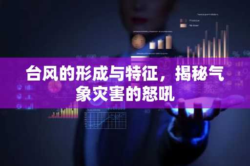 台风的形成与特征，揭秘气象灾害的怒吼