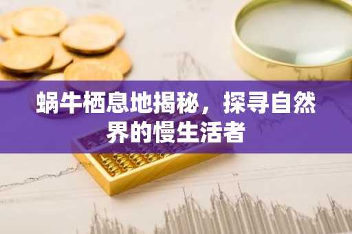 蜗牛栖息地揭秘，探寻自然界的慢生活者