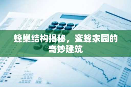 蜂巢结构揭秘，蜜蜂家园的奇妙建筑