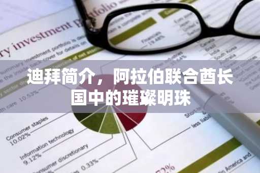 迪拜简介，阿拉伯联合酋长国中的璀璨明珠