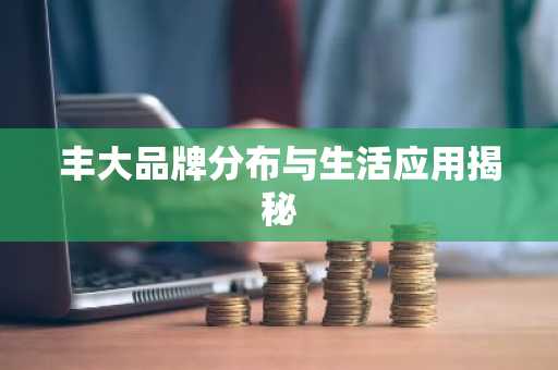 丰大品牌分布与生活应用揭秘