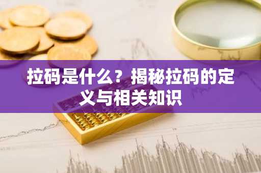 拉码是什么？揭秘拉码的定义与相关知识