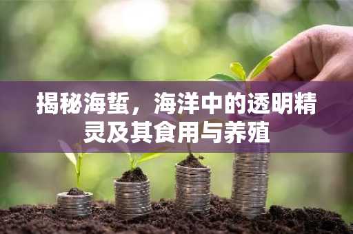 揭秘海蜇，海洋中的透明精灵及其食用与养殖