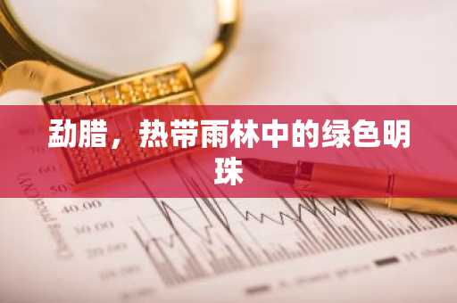 勐腊，热带雨林中的绿色明珠