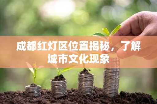 成都红灯区位置揭秘，了解城市文化现象
