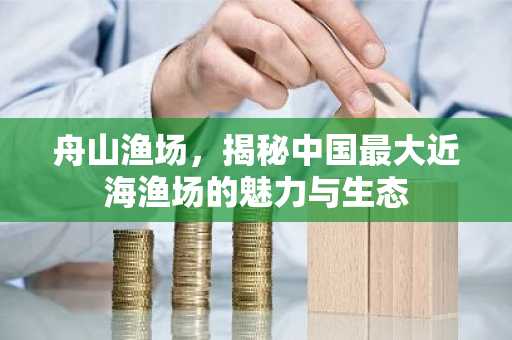 舟山渔场，揭秘中国最大近海渔场的魅力与生态