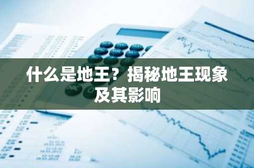 什么是地王？揭秘地王现象及其影响