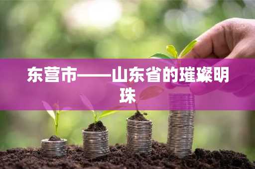 东营市——山东省的璀璨明珠