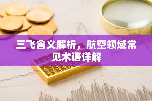 三飞含义解析，航空领域常见术语详解