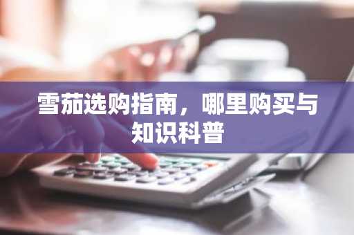 雪茄选购指南，哪里购买与知识科普