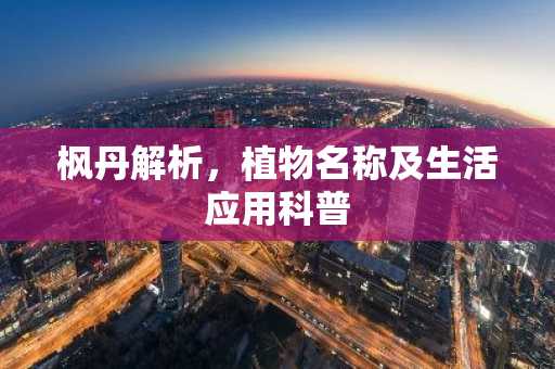 枫丹解析，植物名称及生活应用科普