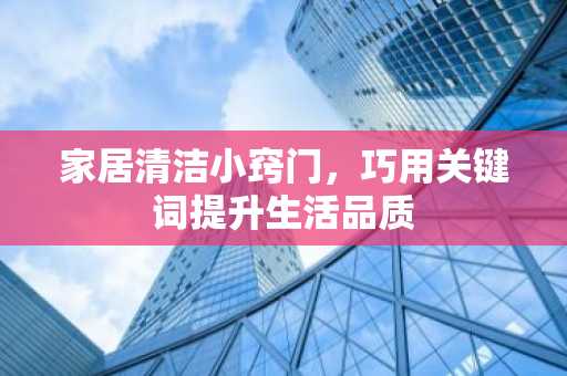 家居清洁小窍门，巧用关键词提升生活品质